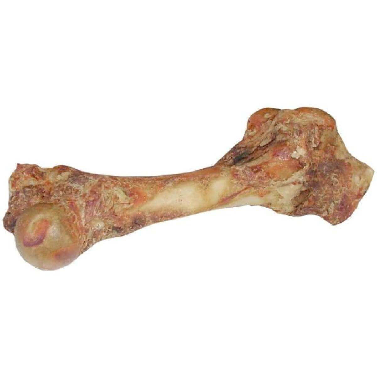 Friandise chien femur de boeuf