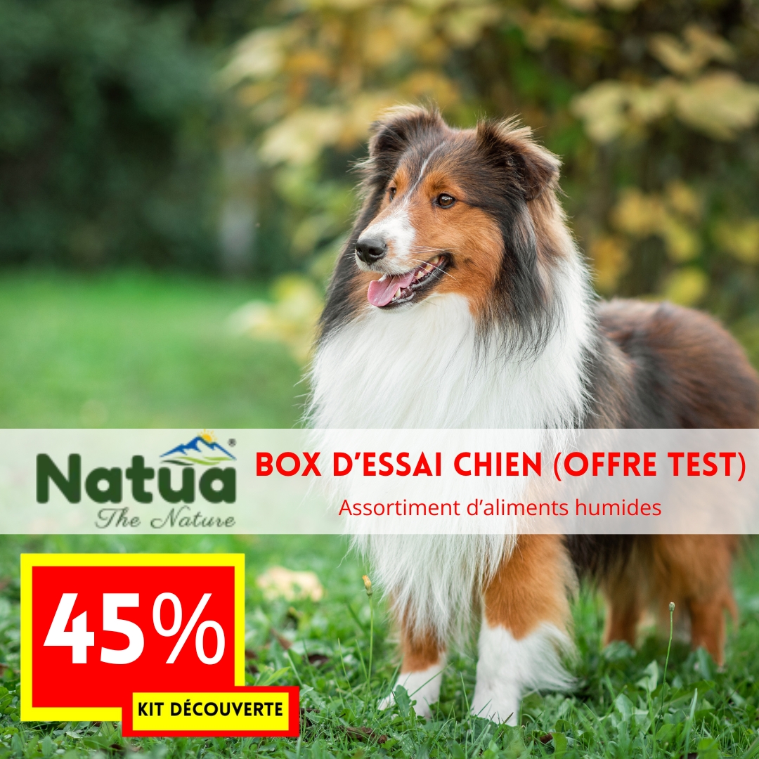 OFFRE DECOUVERTE 2025 Kit de produits chien -45% (offre test NATUA)