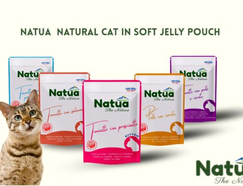 Alimentation pour chat “Soft jelly” pourquoi vos chat les adorent !