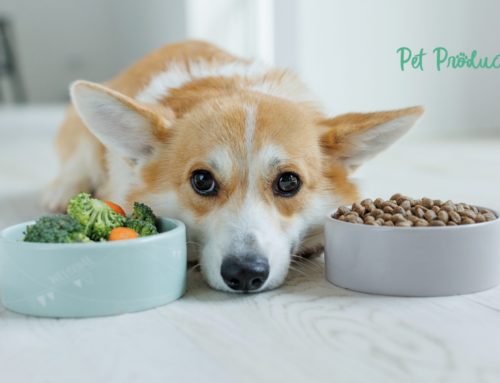 Conseils pour une transition réussie vers une alimentation naturelle