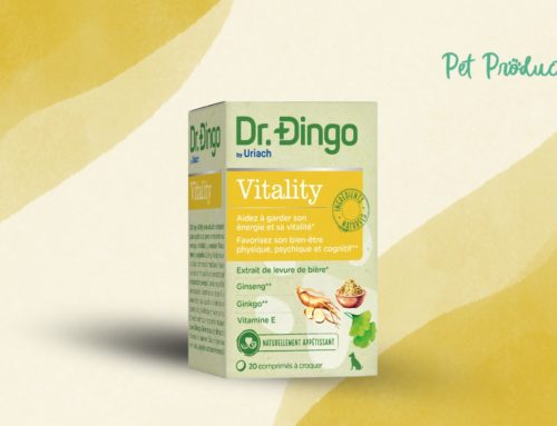 Dr Dingo Vitality: La vitalité éclatante pour votre chien !