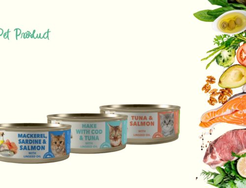 Découvrez les Amity Cat Wet Food : Parfait pour votre chaton !